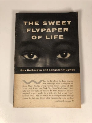 THE SWEET FLYPAPER OF LIFE  1955 1st PB Print - ROY DE CARAVA & LANGSTON HUGHES Foto 1 de 4