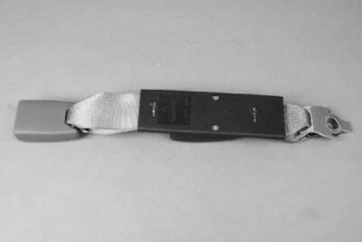 Medio cinturón de seguridad genuino Mopar 2005-2007 Dodge Dakota hebilla trasera 5KL041J3AA Foto 1 de 3