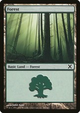 Forest (Version 381) 10th Edition NM Basic Land MAGIC GATHERING CARD ABUGames