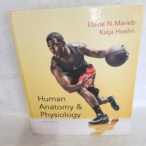 Menschliche Anatomie und Physiologie 10. Auflage von Katja Hoehn und Elaine N. Marieb - Bild 1 von 10