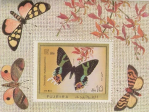 Schmetterlinge Fujeira Postfrisch 6260 - Bild 1 von 1
