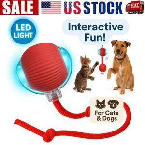 Palla Rotante Automatica Smart Cat Dog Giocattolo Elettrico Pet Automovente Gattino Gioco US - Foto 1 di 23