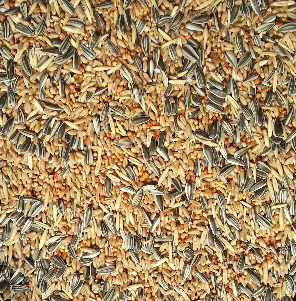 Gevo Streufutter ohne Weizen Winterfutter Vogelfutter 25 Kg Wildvogel - Bild 1 von 1