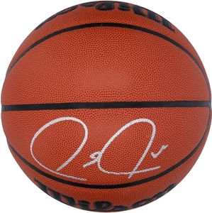 Paul Pierce Boston Celtics Signed Wilson Authentic Indoor/Outdoor Basketball - Picture 1 of 4