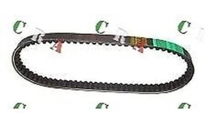 Neue Bergamaschi Riemen Für Kymco Dink - 50 CC - Jahr: 1999 - Bild 1 von 1