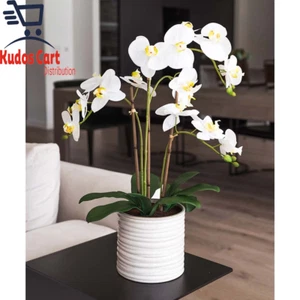 Artificial Orchid in Ribbed Ceramic Pot Decorative Home Faux Plant Indoor New - Picture 1 of 14