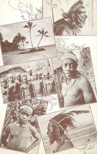 Postal de Culturas y etnicidad entre los cazatalentos de Nueva Guinea Holandesa - Imagen 1 de 2