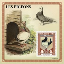 Guinea 2021 MNH Birds on Stamps Pigeons Pigeon Doves 1v S/S