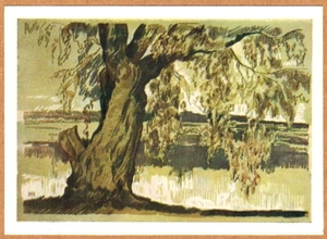 M.Matorin 1963 Russian postcard WHITE WILLOW tree Autumn day - Picture 1 of 2