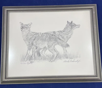 Charles Beckendorf pencil drawing Coyote  42/300, signed Limited edition print - Image 1 of 4