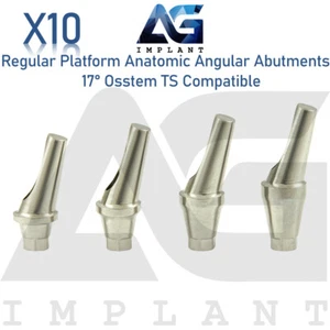 10 Angled Anatomic Abut ment 17° 2.5mm Fit Regular Platform 0sstem® TS - Picture 1 of 7