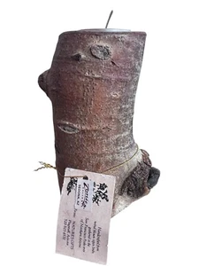 Aspen Candle Holder Natural Branch Arizona Zonie’s Gallery New - Bild 1 von 7