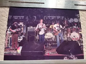 Grateful Dead Concert Music Band 8X10 Kodak Photo Vintage - Picture 1 of 1