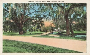 Oaks in Audubon Park, New Orleans Louisiana Vintage PC Unposted - Picture 1 of 2