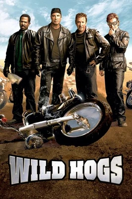 Wild Hogs (DVD, 2007) Widescreen *DISC ONLY* NO CASE NO TRACKING Foto 1 de 2
