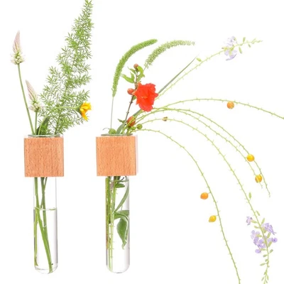 Maceta de pared de madera para plantas de vidrio estaciones de propagación refrigerador tubo de vidrio individual... Foto 1 de 4