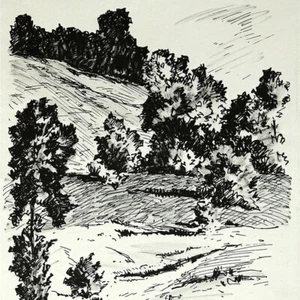 Hans Venter paisaje bosque Wiesental firmado tinta dibujo principios del siglo XX - Imagen 1 de 3