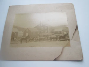 TARJETA DE GABINETE ANTIGUA; FOTÓGRAFO SIN NOMBRE; PATIO DE TRONCOS CON TRANSPORTE DE ANIMALES ++ - Imagen 1 de 3
