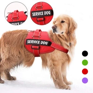 Therapy Dog Vest Harness Reflective Patches SERVICE DOG IN TRAINING EMOTIONAL - Picture 1 of 18