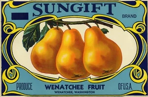 Birnenkiste Etikett der Marke Sungift - Wenatchee Obst - Wenatchee Wash - Blackout - Bild 1 von 1