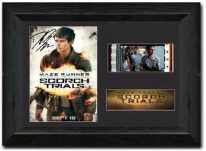 Maze Runner: The Scorch Trials 35mm Film Cell Stunning Signed Memorabilia + COA - Foto 1 di 3