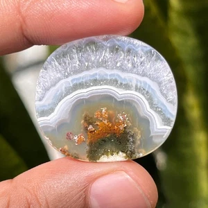 29,40 Ct Scenic Moosachat Orbicular Cabochon 30x27x3 mm hochwertiger Moosachat - Bild 1 von 4