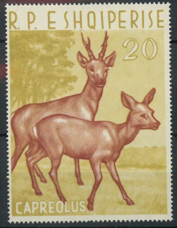 Albania 1962 animales salvajes 20 l ciervos de MS SG 727a MNH como nuevo A167 *PUBLICACIÓN COMBINADA Foto 1 de 1