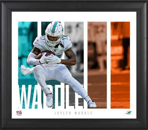 Jaylen Waddle Miami Dolphins 15" x 17" Player Panel Collage Cover