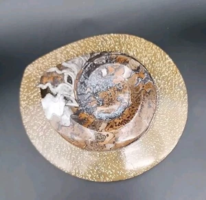 Goniatite Ammonite - Polished Invertebrate Fossil In Plate - Morocco - Picture 1 of 6
