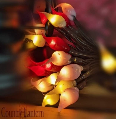 35 Ct. LED Battery Operated String Light handmade Country Love for Valentines - Image 1 of 4
