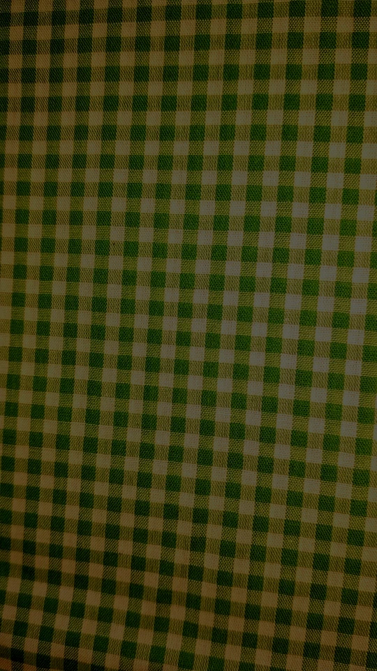 Plain Green & White Checked  Design Fabric - 1  1/3 yds - Image 1 of 1