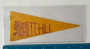 Rare 1930s BF3 Baseball Mini Pennant - Earl Whitehill Washington Senators - Picture 1 of 1