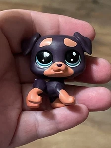 Littlest Pet Shop - LPS - ROTTWEILER HUND - dunkel & hellbraun mit blauen Augen - GEBRAUCHT - Bild 1 von 7