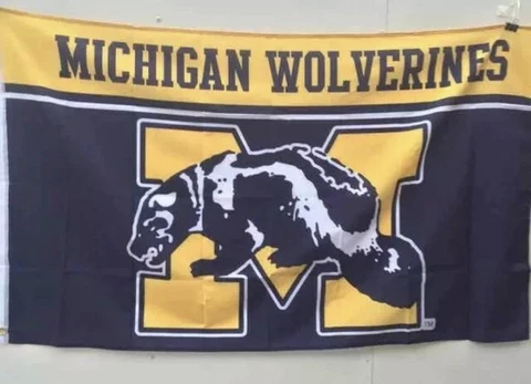 Michigan Wolverines Retro banner Cover
