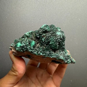 Primary Malachite Crystal on Matrix 387g – From Zaire (DR Congo) - Picture 1 of 9