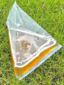 Slug Traps, Hygienic, Reusable, No poison, Plastic Slug Beer Traps 5, 10, 25, 50 - Picture 1 of 4