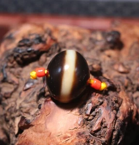 Energy Tibetan Old Agate Cinnabar 1 Line Healer Medicine Abacus 良品 dzi Bead 19B2 - Picture 1 of 7