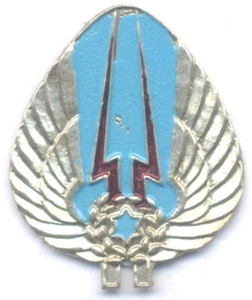 ISRAEL Air Force - 533rd Signal Unit pin, old, IDF Zahal - Picture 1 of 1