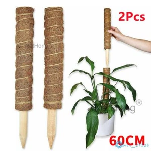 2Pcs Plant Monstera Support Moss Pole Moss Coir Totem Stick for Climbing Plant& - Picture 1 of 20