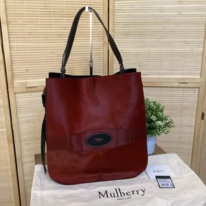 Mulberry Amberley Hobo Haircalf & Silky Calf -Brick with Sophisticated Design - Picture 1 of 18
