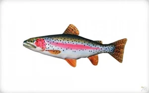 Coussin en Peluche Forme De Poisson Trota iridea / Arc Ciel Trout Idée Cadeau - Photo 1/1