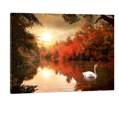 Canvas Print Picture Painting Photo Wall Art Landscape Home Room Decor Lake Swan - Image 1 of 4