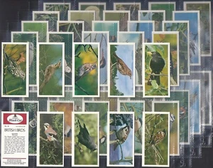 CARRERAS BLACK CAT-FULL SET- BRITISH BIRDS 1976 (50 CARDS) EXCELLENT+++ - Picture 1 of 1