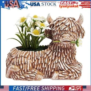 Cute Highland Cow Potted Statues, Highland Cattle Potted Statues Art Crafts - Picture 1 of 7