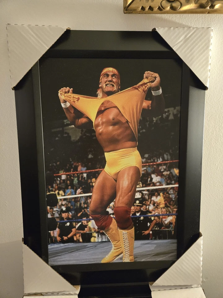 21X16 WWE WWF WCW NWO WRESTLING LEGEND HULK HOGAN FRAME - Image 1 of 1