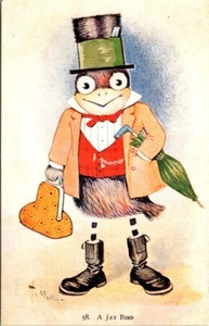 A Jay Bird Anthropomorphism Lawyer Top Hat Brief Case Vintage Postcard - Picture 1 of 2