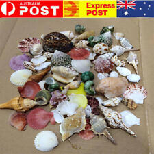 500g Mixed Beach SeaShells Mix Sea Shell  Natural Aquarium Fish Tank Craft Decor