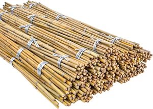 Bastones de bambú de alta resistencia Princekingx - Bastones de jardín profesionales con soporte para plantas - - Imagen 1 de 11