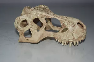 Großer T Rex Dinosaurierschädel 17 x 9 x 7 cm geeignet für Vivarien & Aquarien - Bild 1 von 6