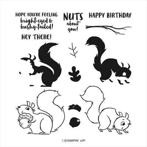 Stampin'Up!  NUTS ABOUT SQUIRRELS PHOTOPOLYMER STEMPELSET - Bild 1 von 1
